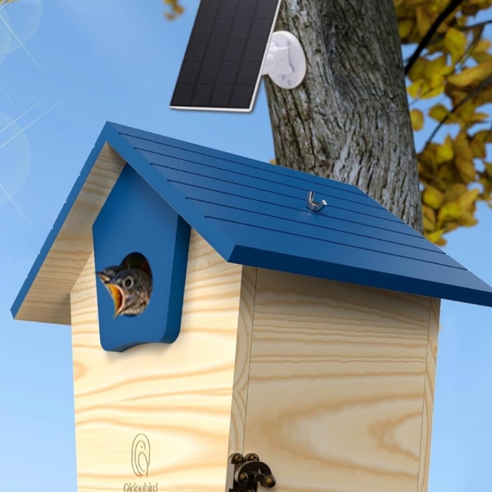 Eco-Friendly Smart Birdhouse – Perfect for Bird Lovers Stand USB/Solar